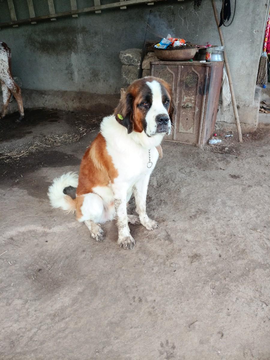 थंबनेल 2