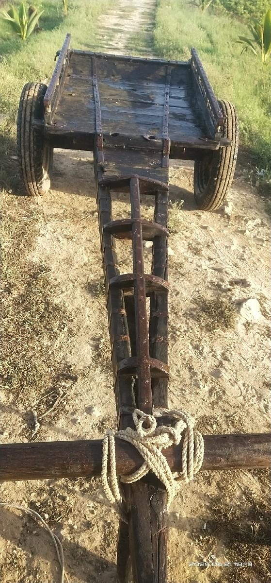 थंबनेल 2