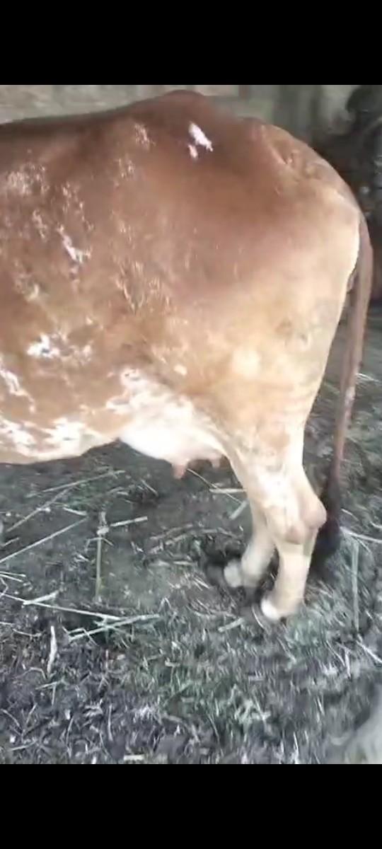 थंबनेल 2