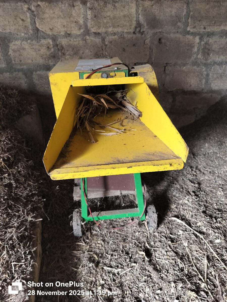 થંબનેલ 3