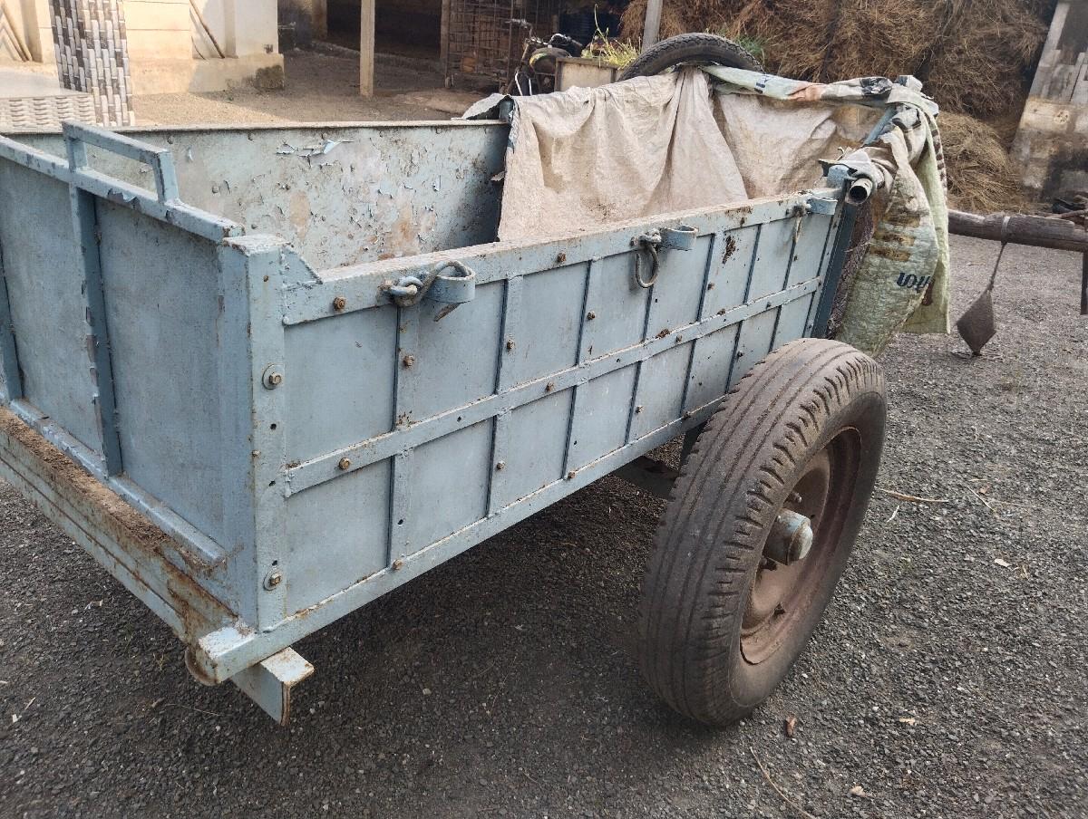 થંબનેલ 2