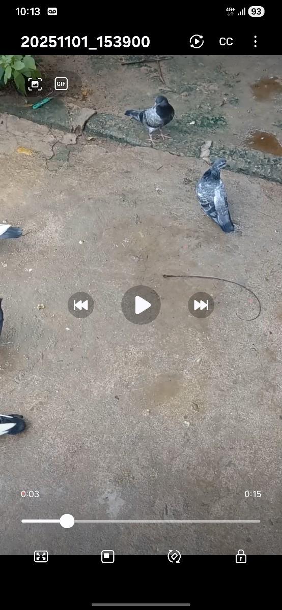 थंबनेल 3