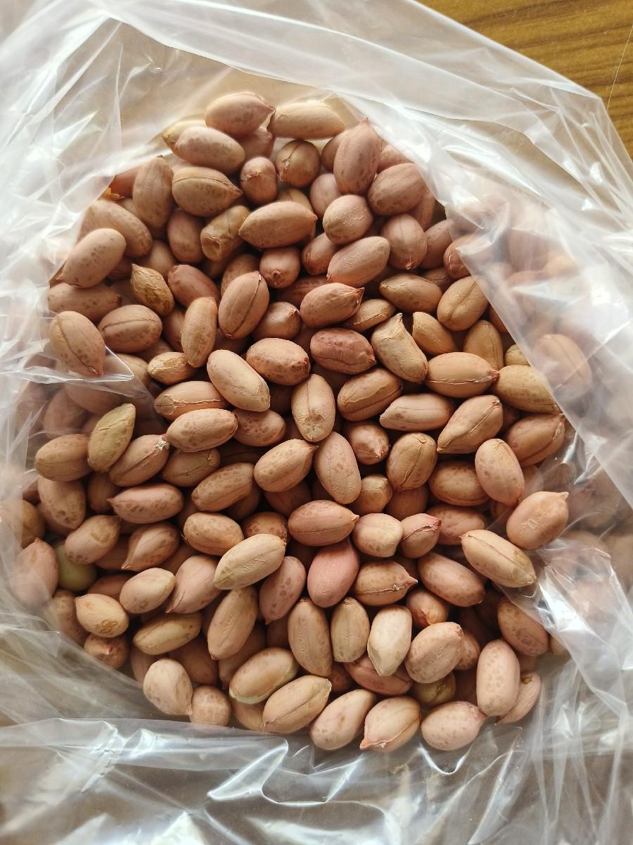 ગીરનાર 4 (ઓરિજનલ)