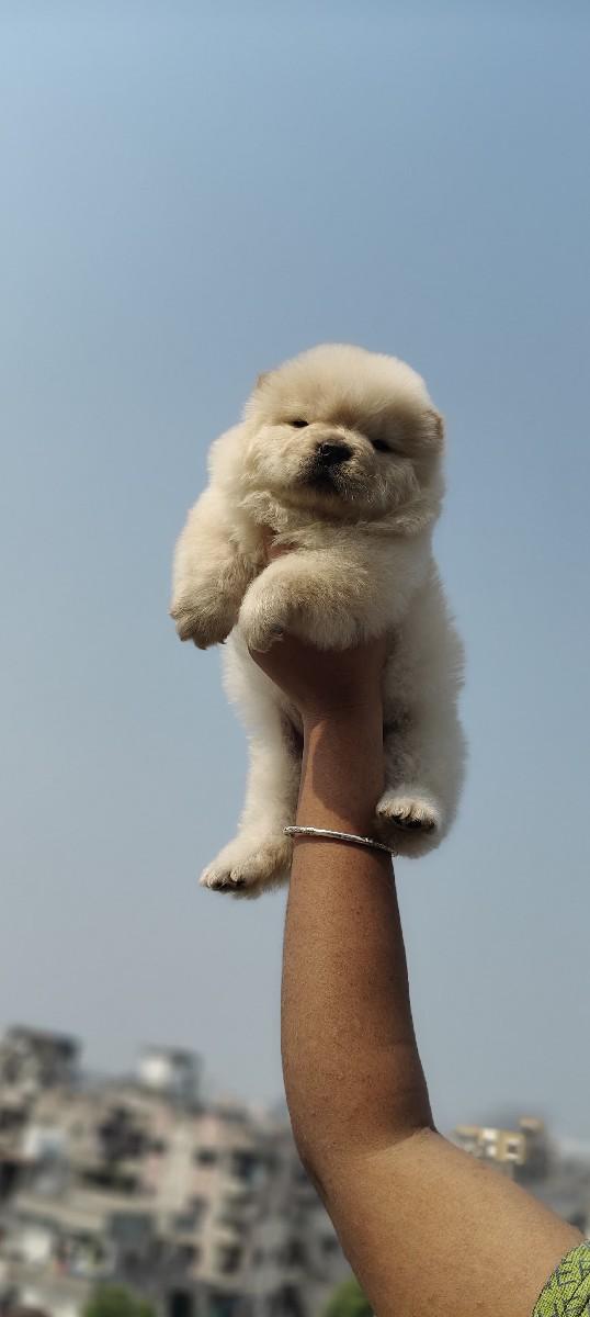 થંબનેલ 3