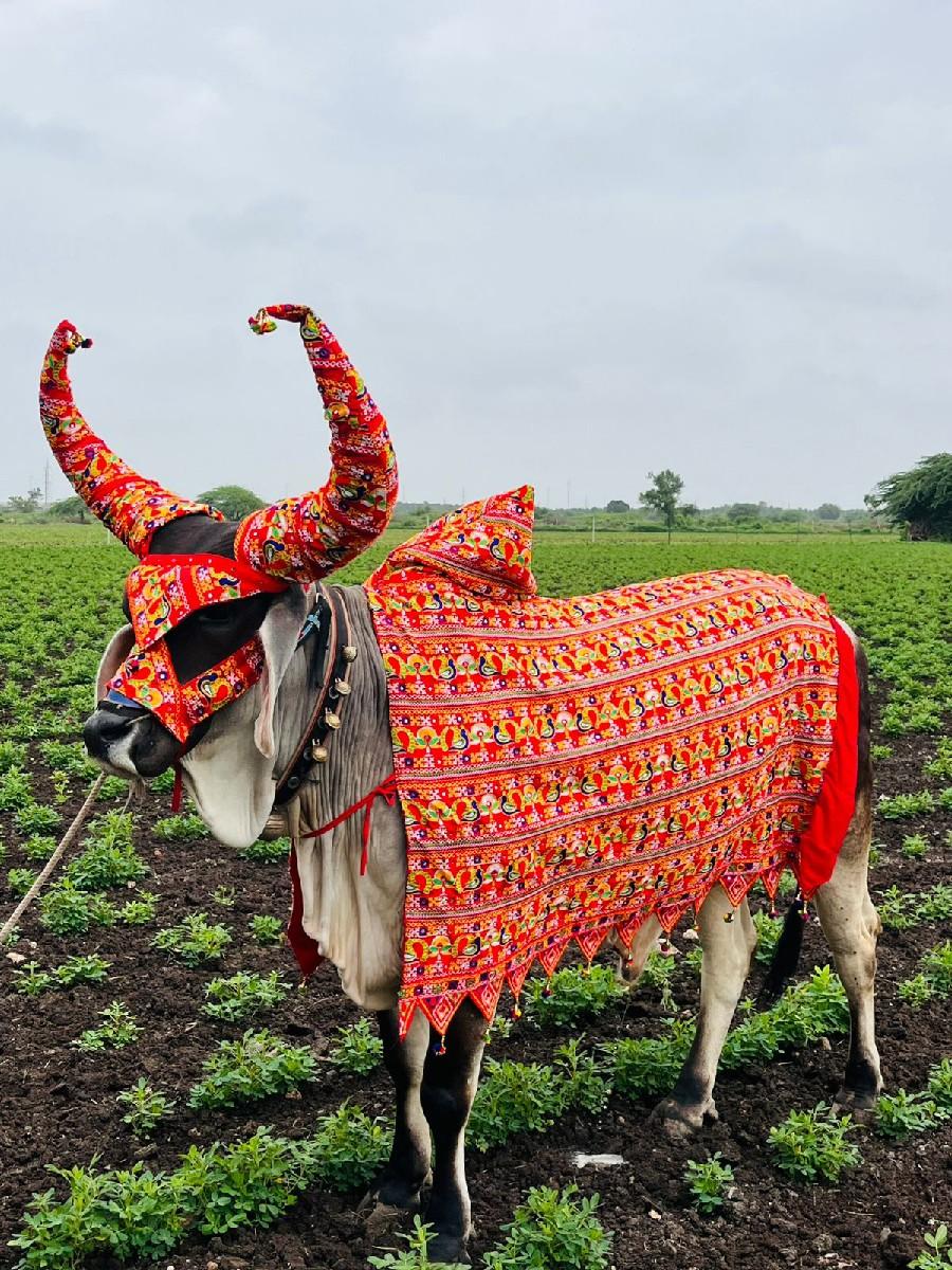 થંબનેલ 2