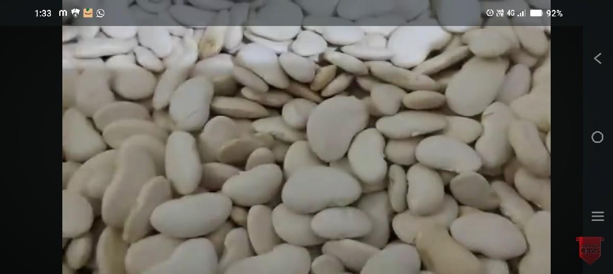 ‌‌‍વાલનુ બીયારણ.