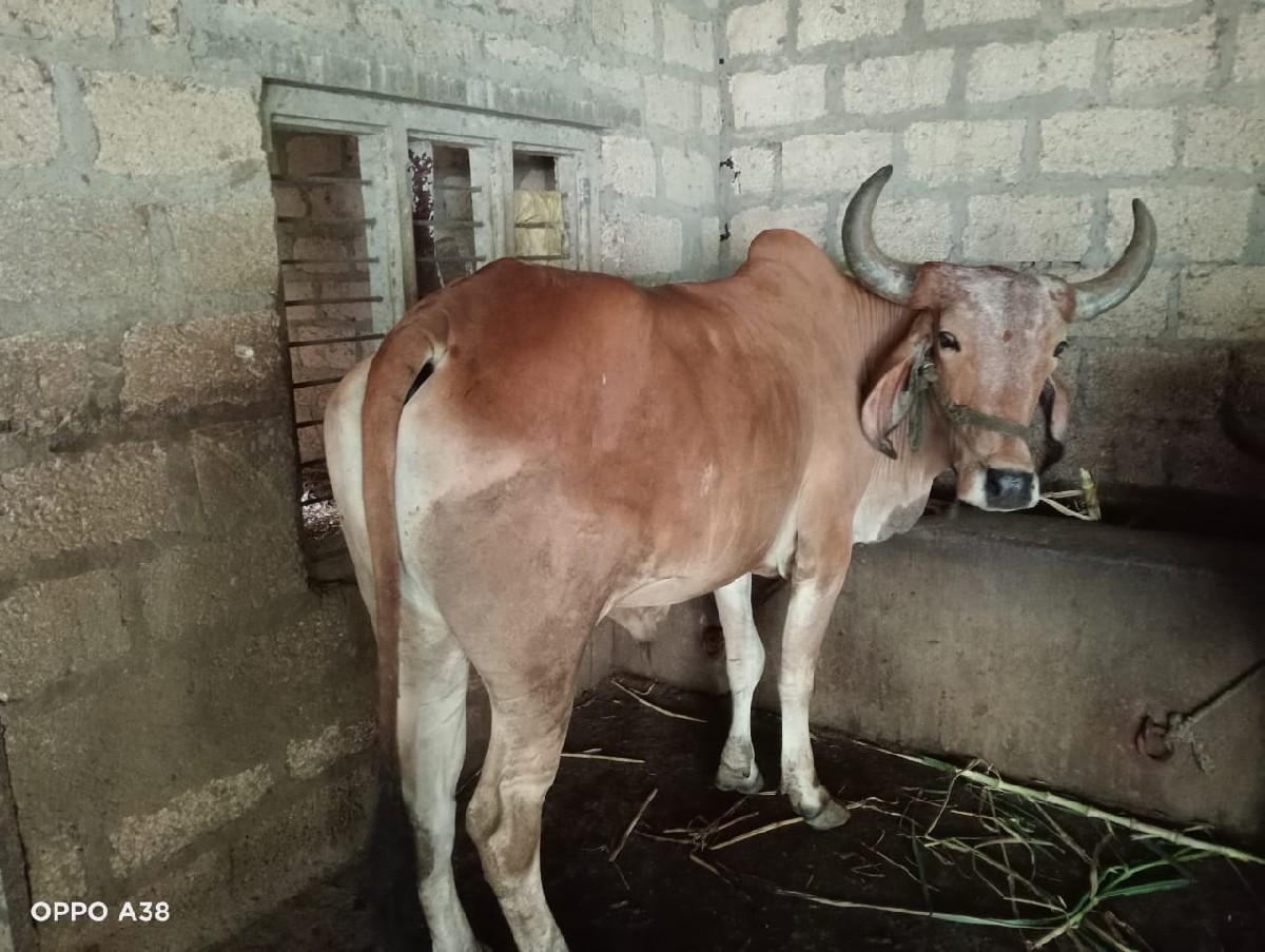 थंबनेल 3