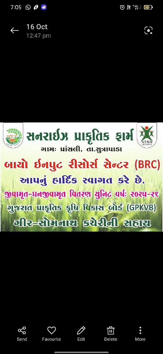 વોર્મીવોશ