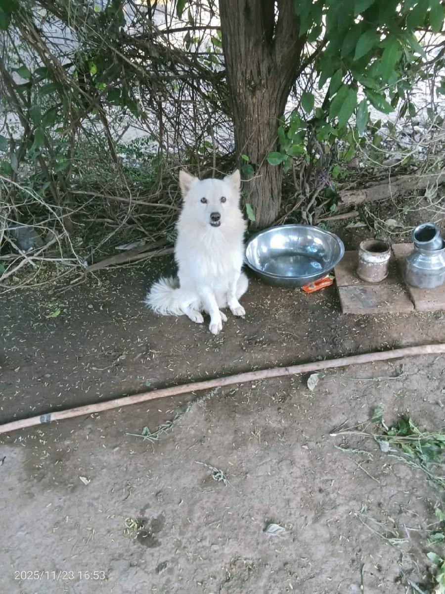 थंबनेल 3