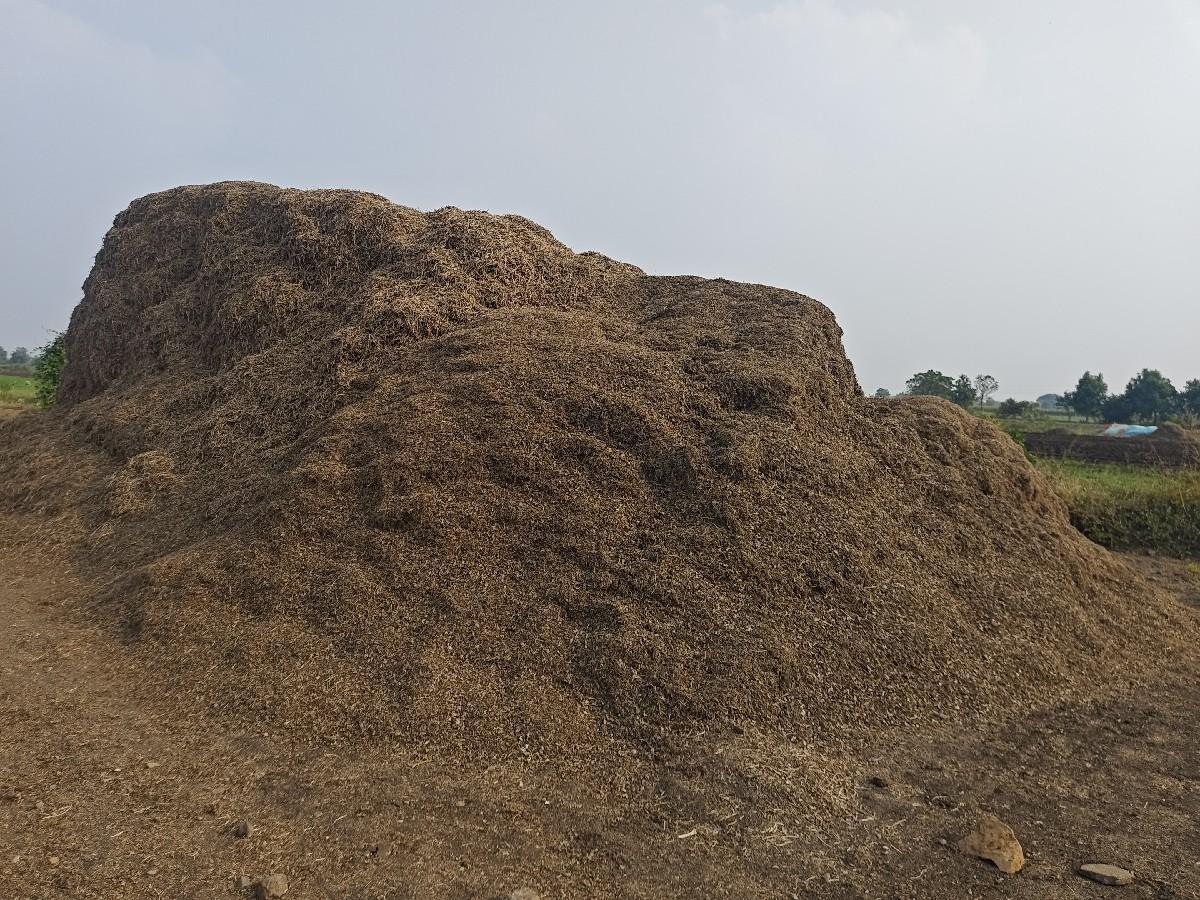 માંડવી નો ભૂકો વેચવાનો છે