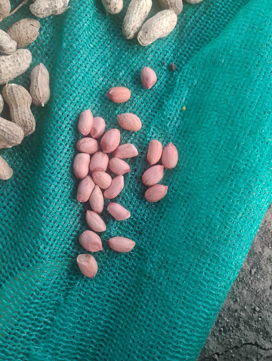 is number mein Parichay