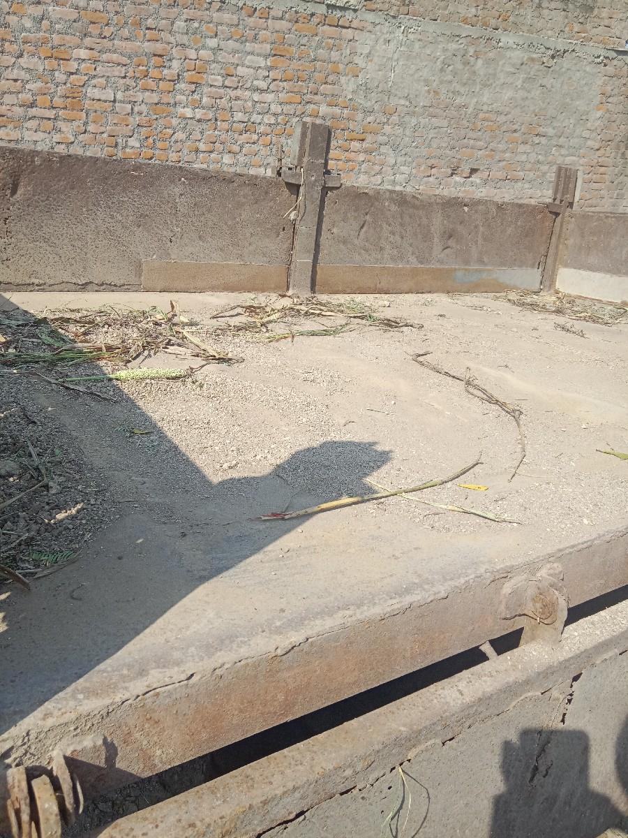 થંબનેલ 3