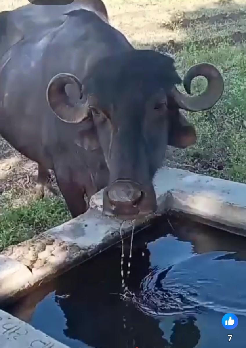 10 દિવસ ની વ્યાનિ સે