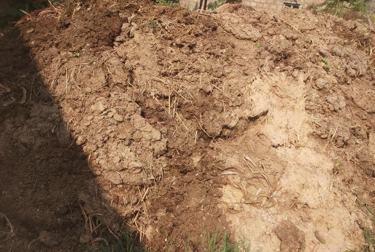 છાણીયું ખાતર