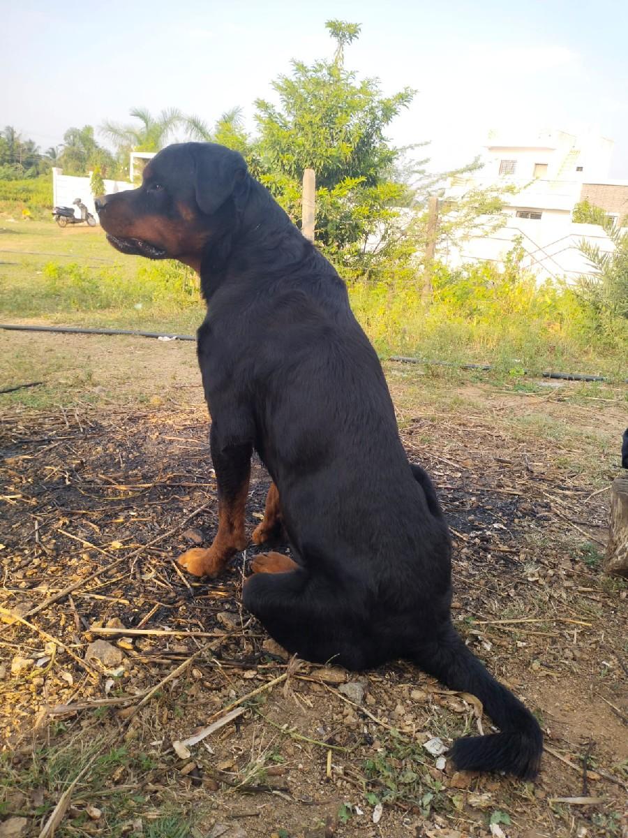 थंबनेल 2