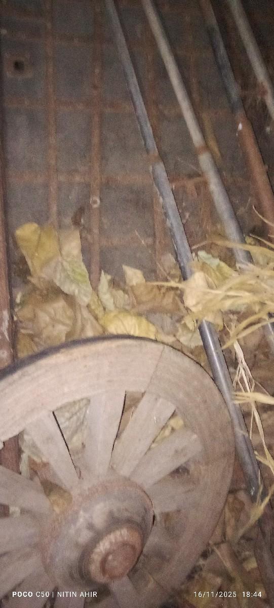 બડદ. ગાડી. વેચવાનું. છે