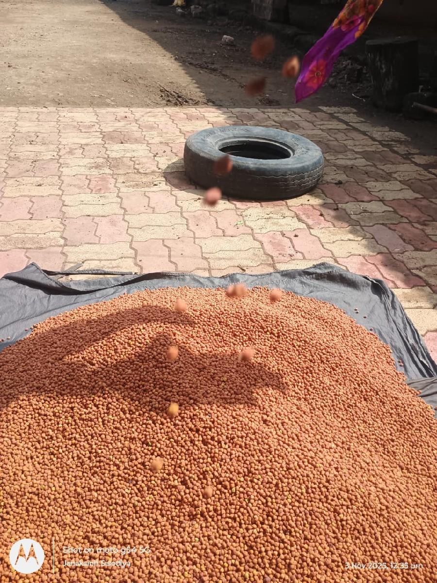 थंबनेल 3