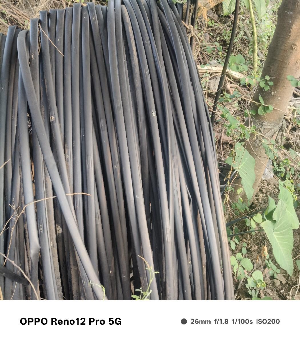 ટીપાં નલી