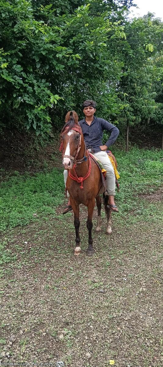 थंबनेल 3