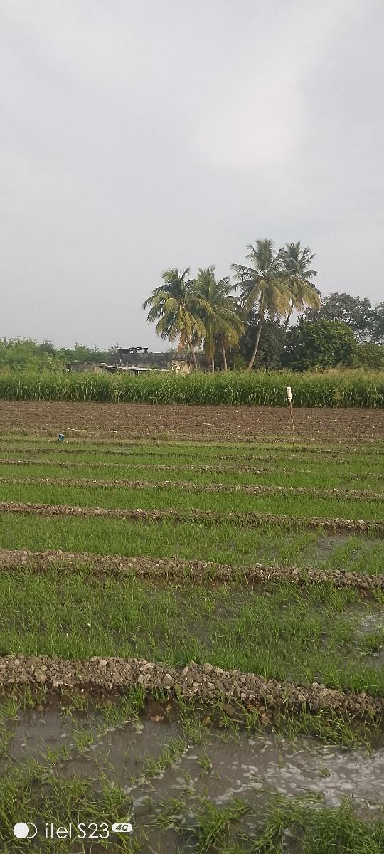 વેચવાનીછે