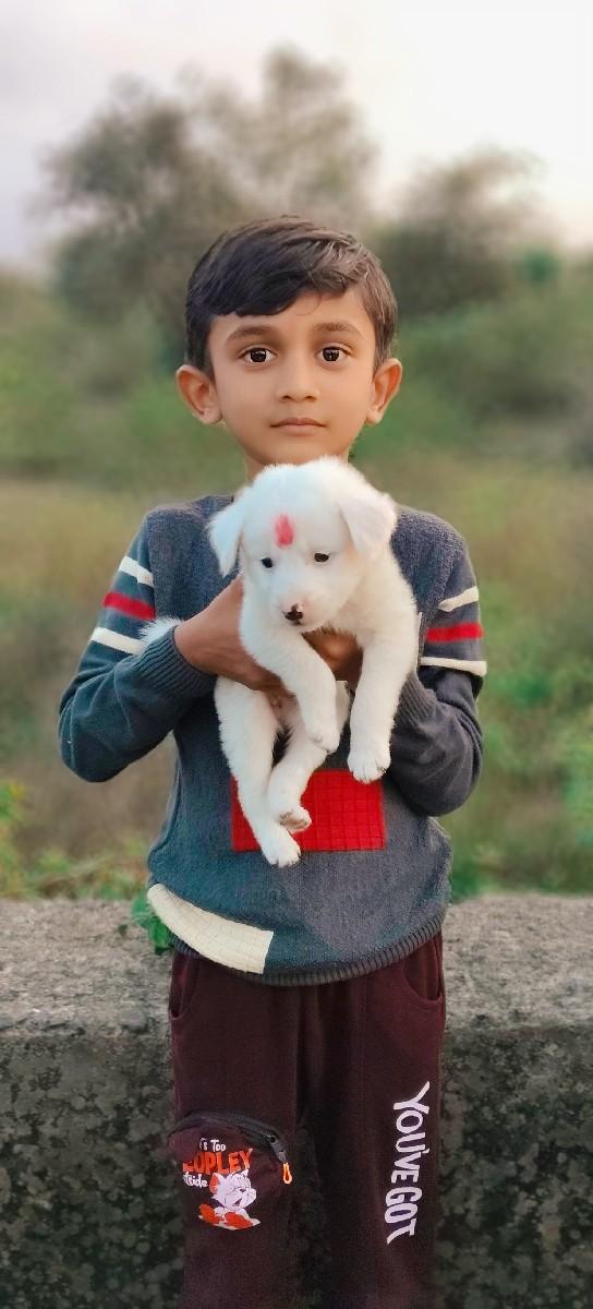 थंबनेल 3