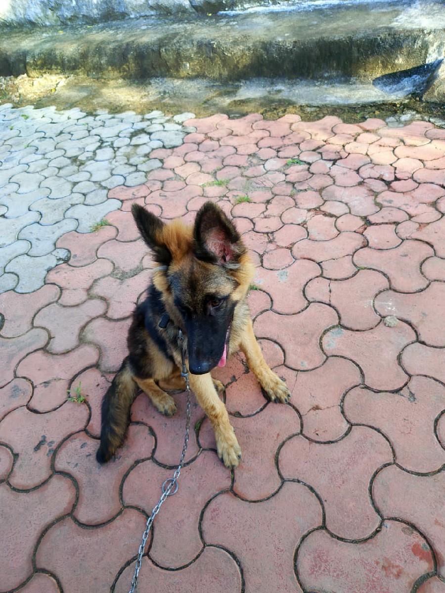 થંબનેલ 2