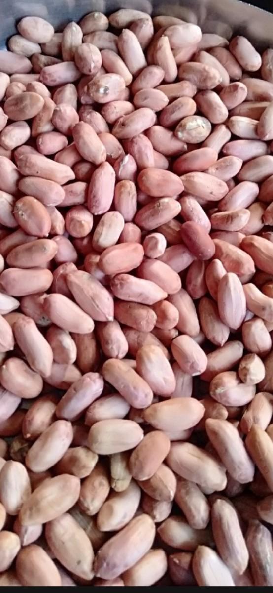 39 magfali vesavani se