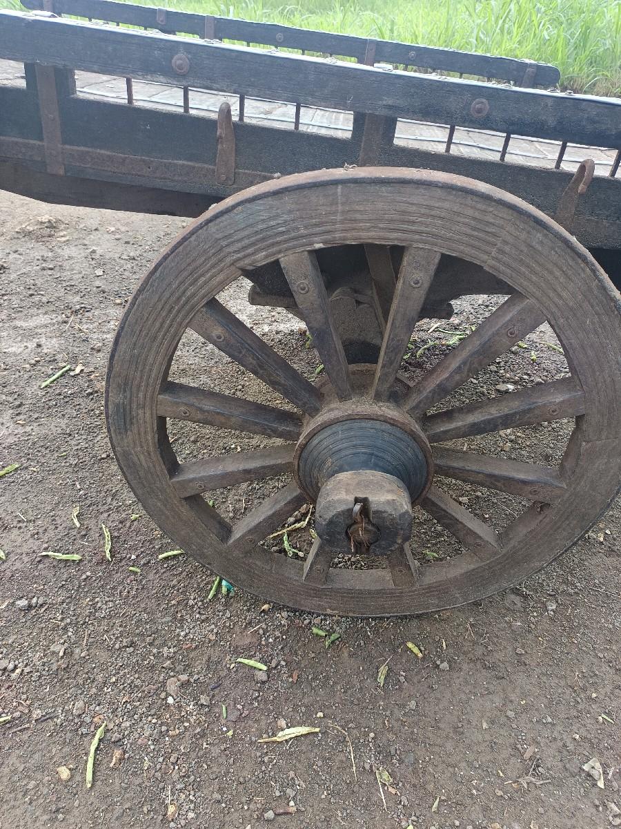 થંબનેલ 3