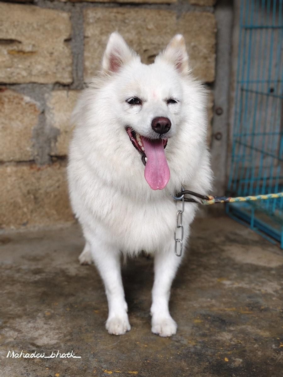 थंबनेल 3