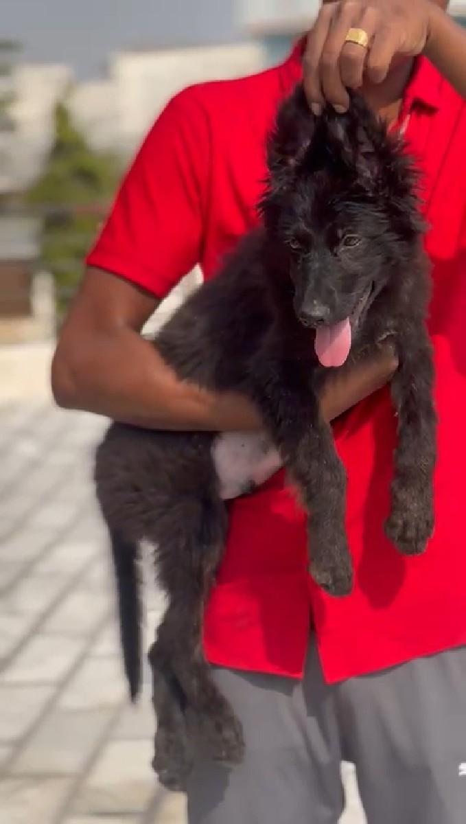 थंबनेल 3