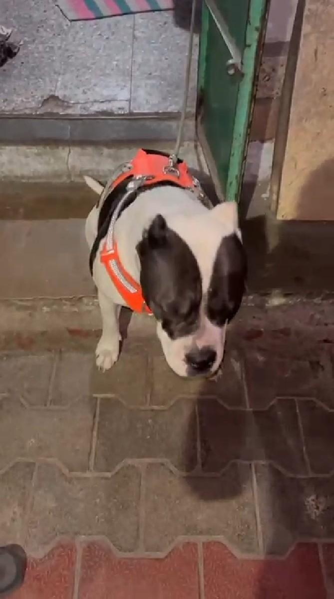 थंबनेल 3