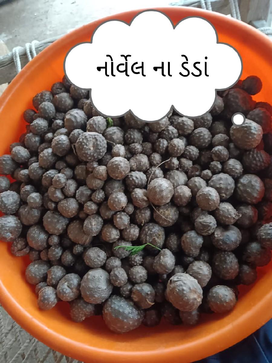 નોર્વેલ ના ડેડા