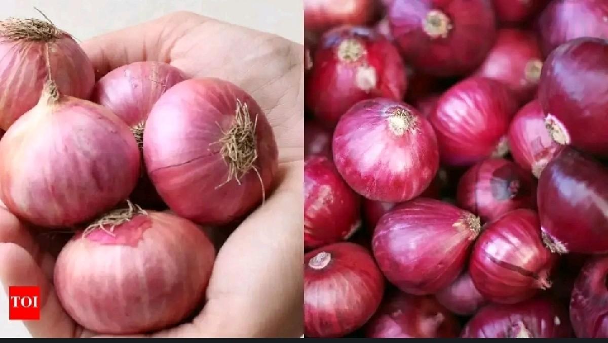 લાલ ડુંગળી