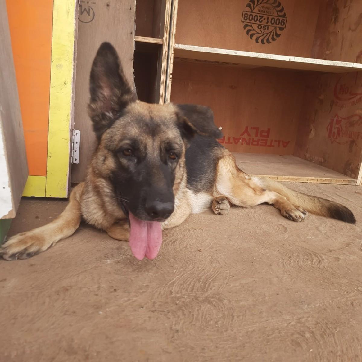 थंबनेल 4