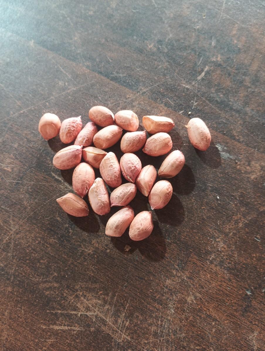 20 nobar
sari madvi che