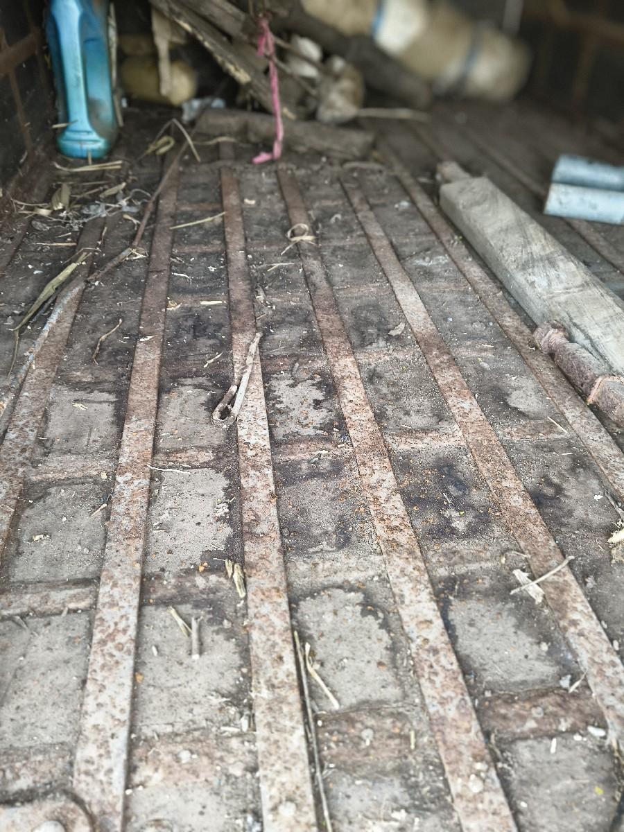 થંબનેલ 2