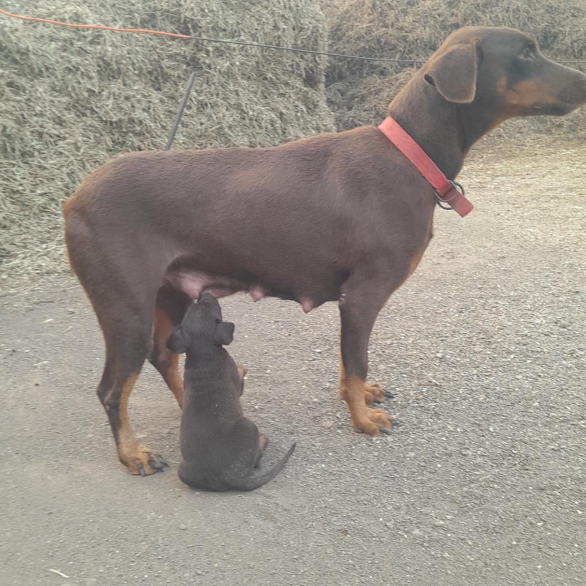 થંબનેલ 3