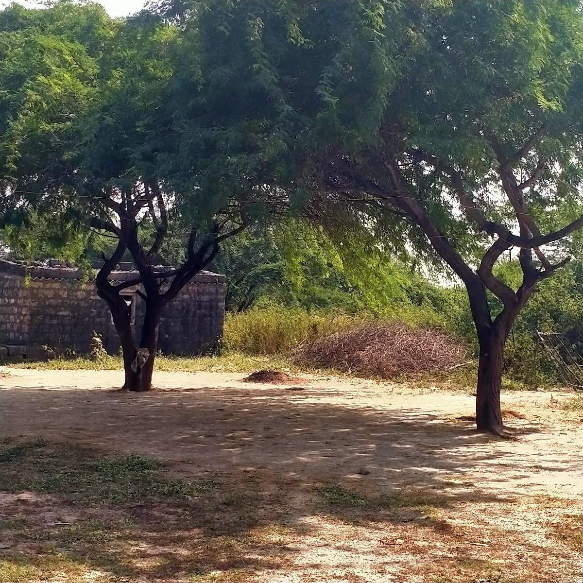 થંબનેલ 2