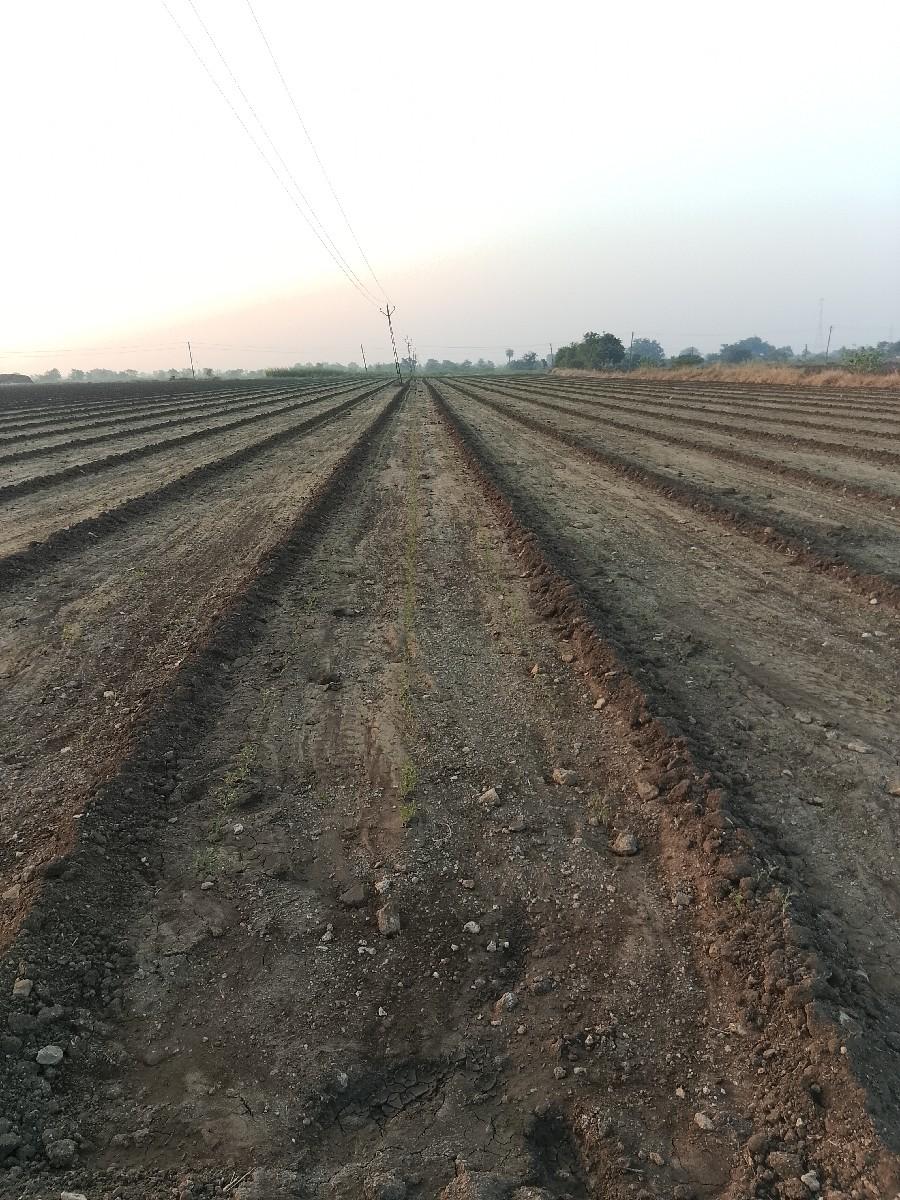 જમીન વેચવાની છે
33.વીઘા 12 ગુઠા ખાત