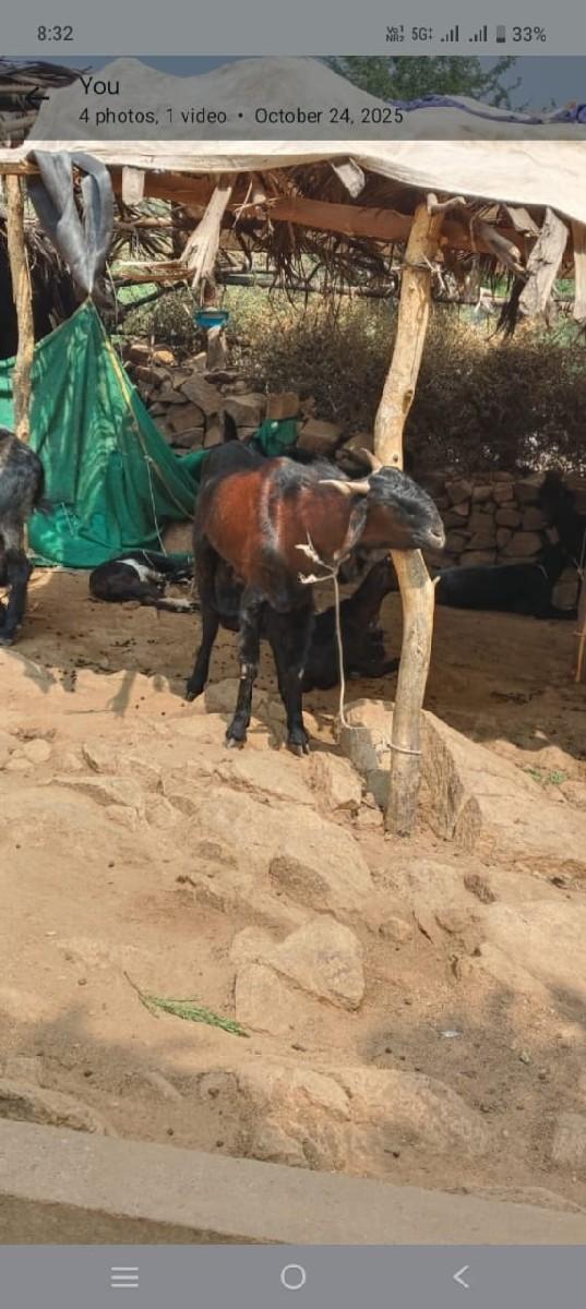 વેચવાના છે