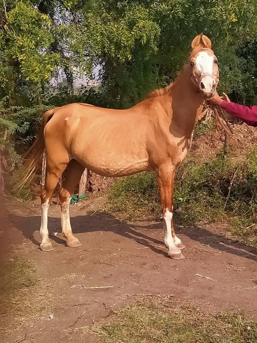 थंबनेल 2