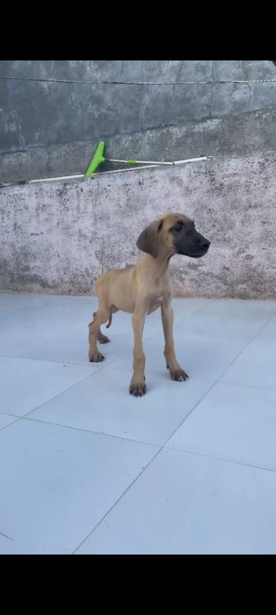 થંબનેલ 3