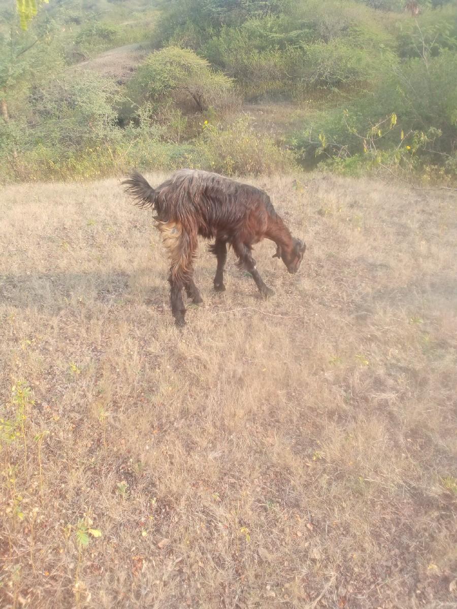 थंबनेल 3