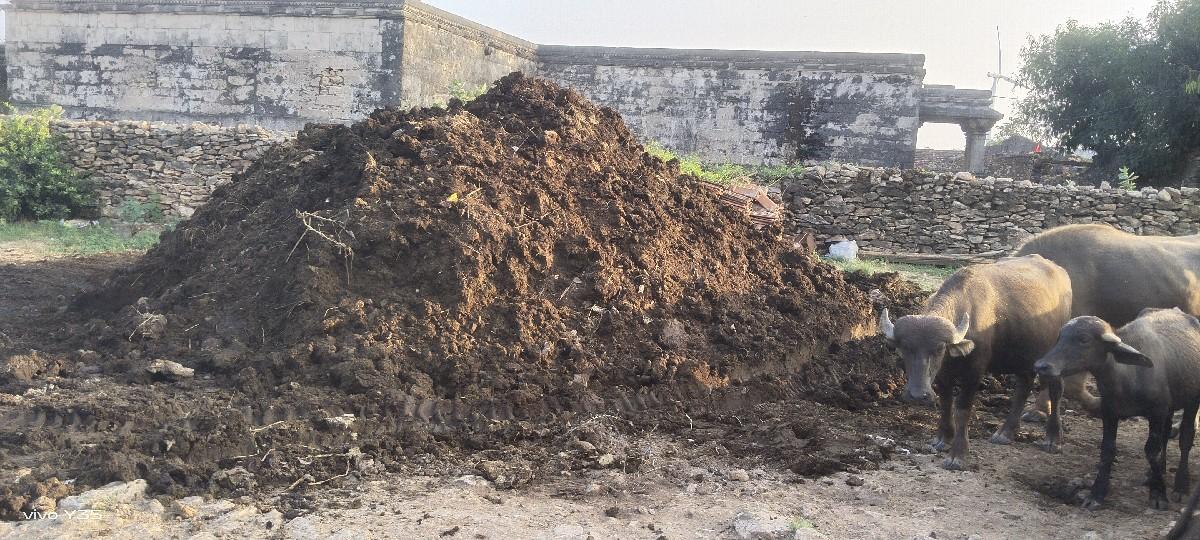 દેવભૂમિ દ્વારકા ગામ વસઈ છે