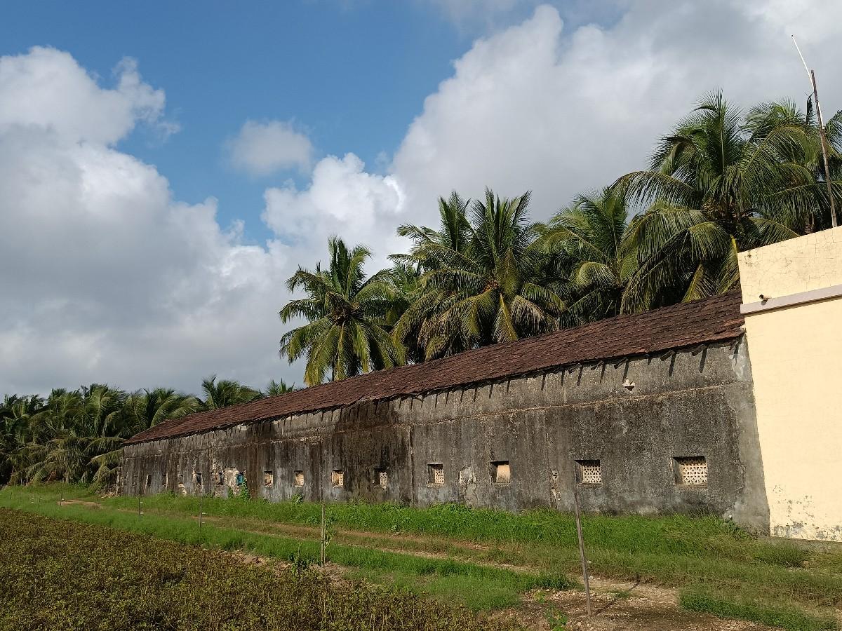 थंबनेल 2