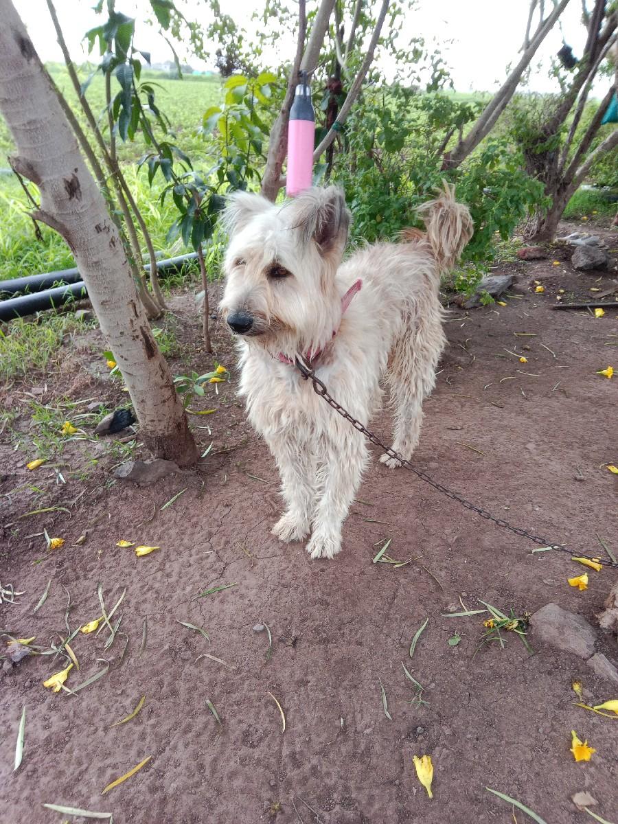 થંબનેલ 3