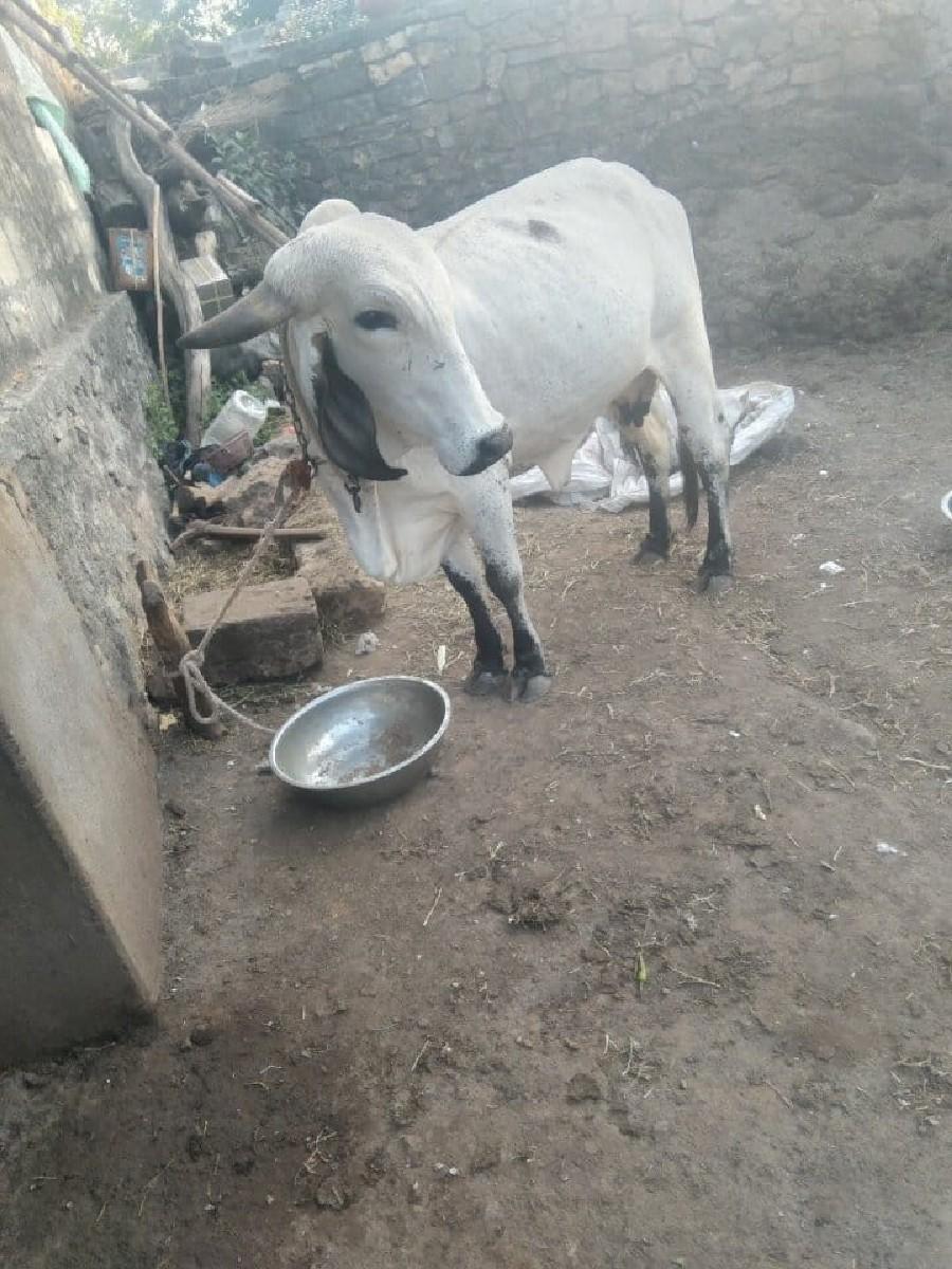 થંબનેલ 2