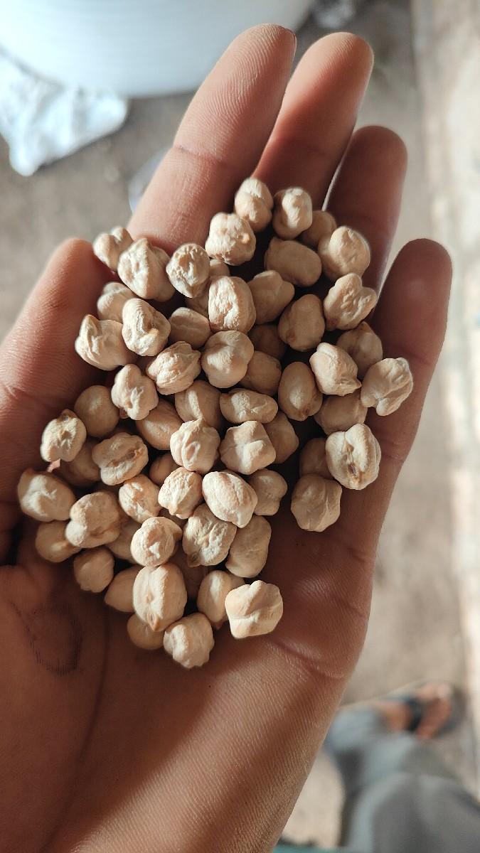 વેશવાનુ