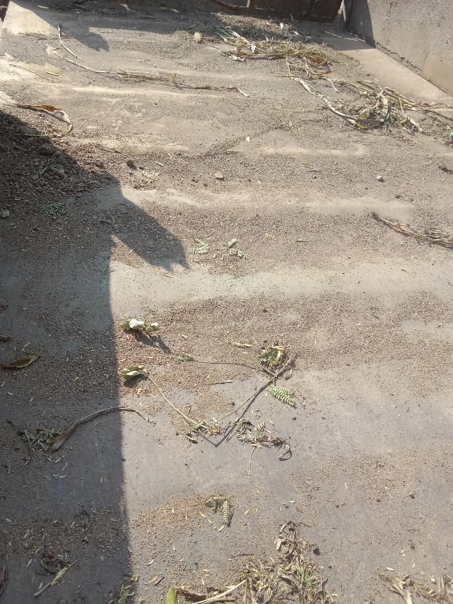 ટ્રોલી વેચવાની છે