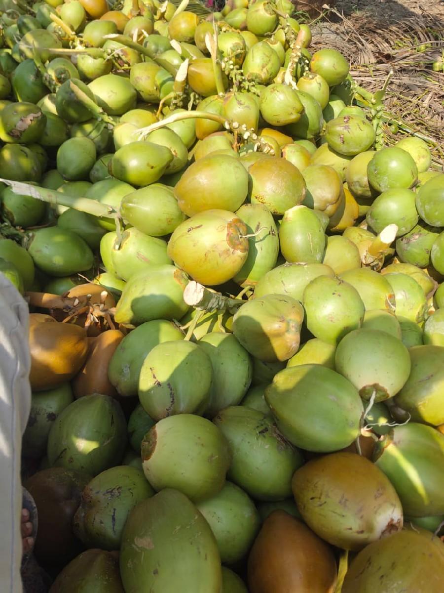 થંબનેલ 3